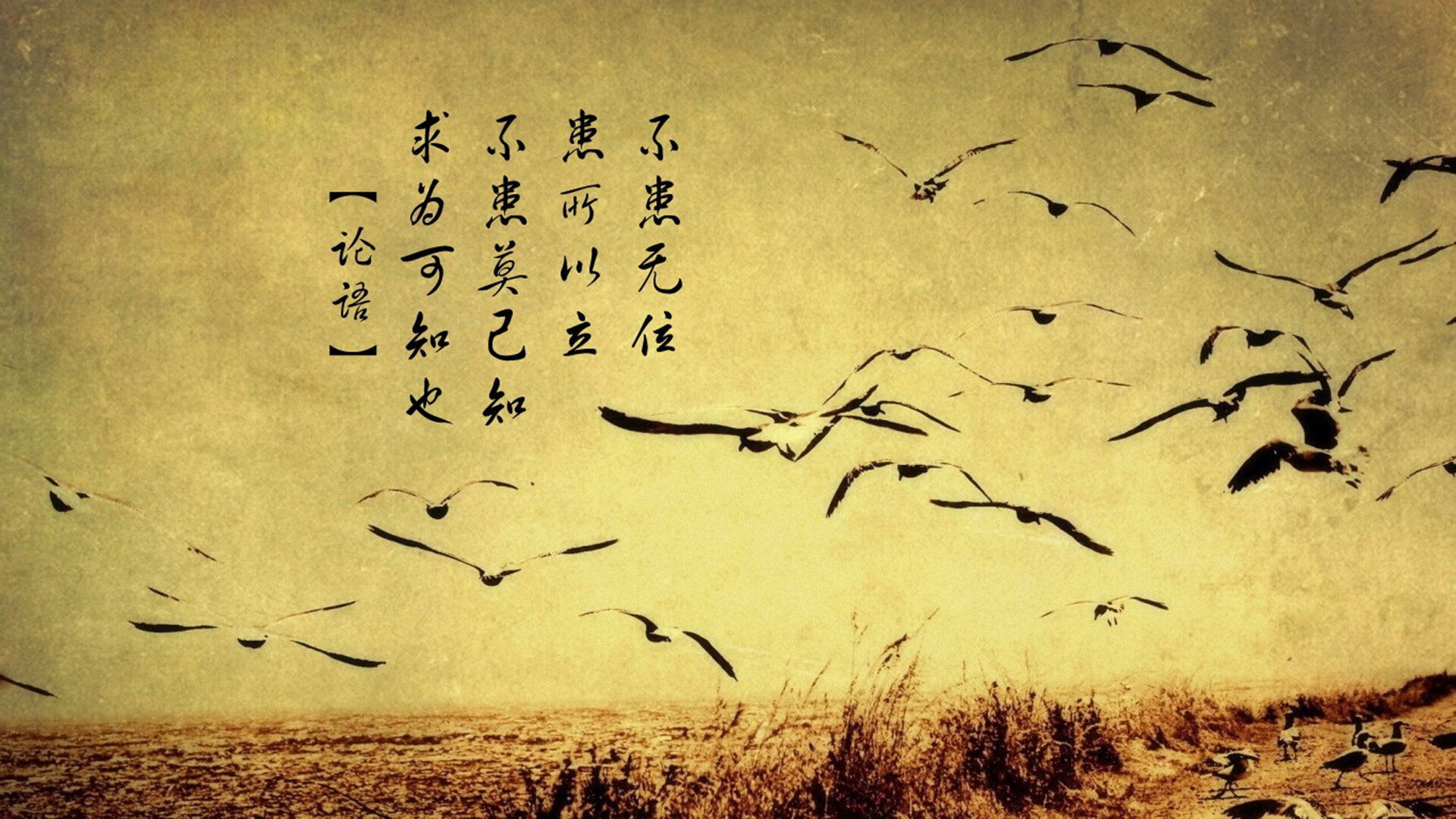 爱游戏资讯-休赛期投资动向：哪些球队目标体系大升级？，休赛期球员都在干嘛