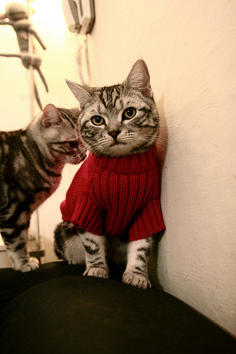 爱游戏综合娱乐-保级大战：排名靠后的球队何去何从？，保级组赛程